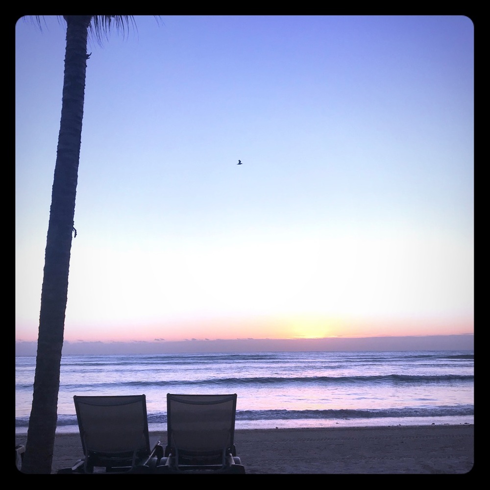 Meet your Posher, Elana